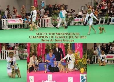 Du hameau de mai - CHAMPION DE FRANCE JEUNE 2013